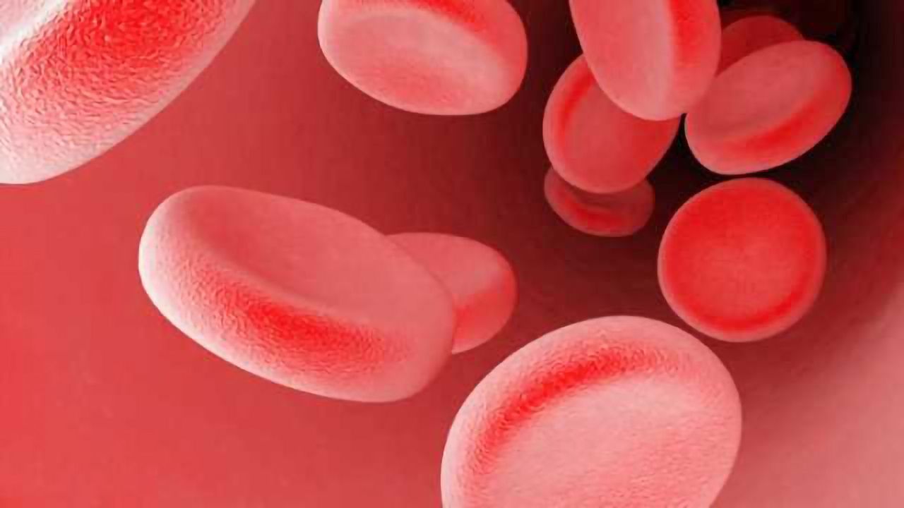 Research discovers neuroprotective protein in blood is biomarker of Alzheimer's disease