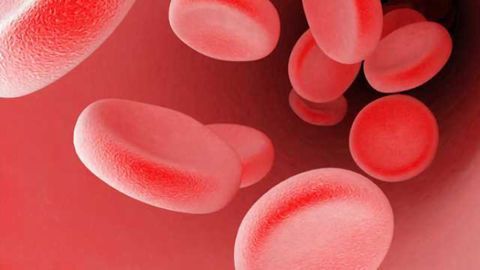 Research discovers neuroprotective protein in blood is biomarker of Alzheimer's disease