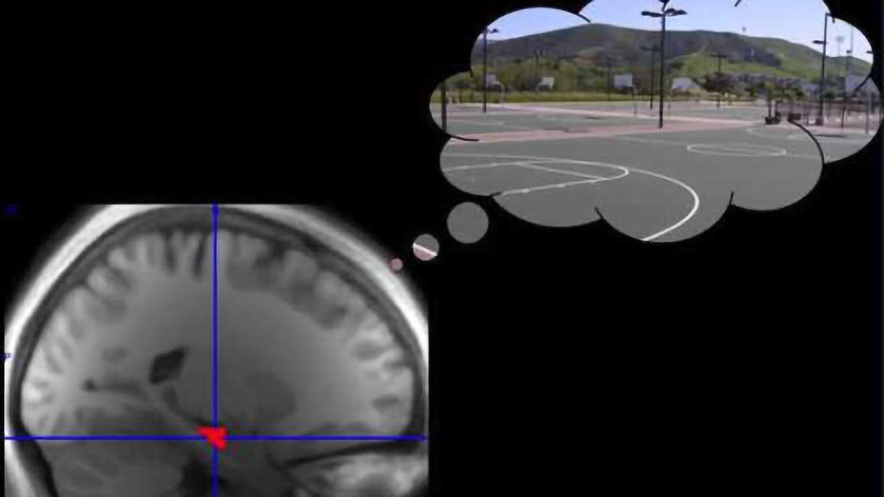Memory replay prioritizes high-reward memories