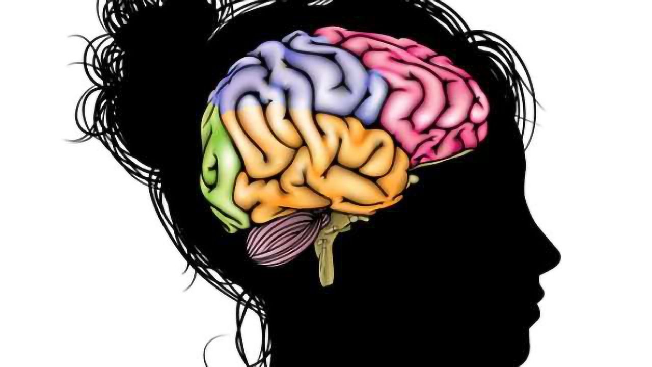 Does sexual aggression alter the female brain?