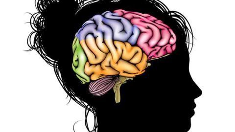 Does sexual aggression alter the female brain?