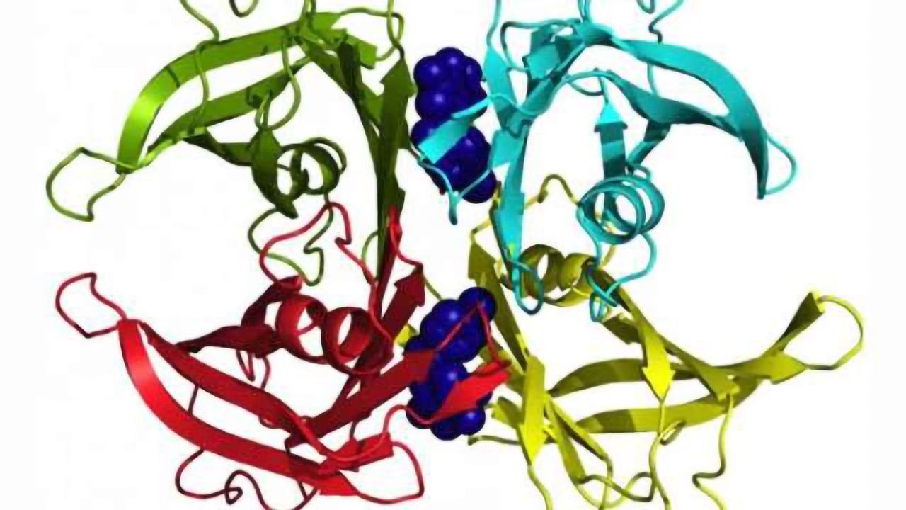 Powerful drug described to advance in the fight against familial amyloidosis