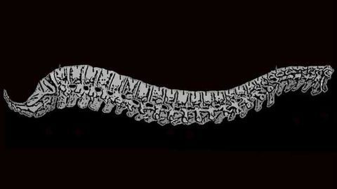 A new approach to visualize drug delivery to the central nervous system