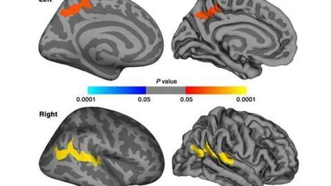 Imaging shows impact of PTSD in earthquake survivors