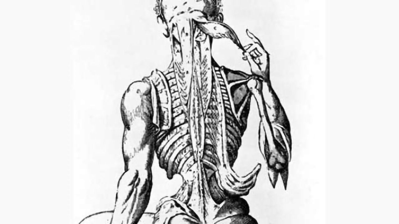 Exercise may protect nerve cells in spinal muscular atrophy patients