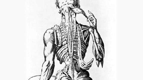 Exercise may protect nerve cells in spinal muscular atrophy patients