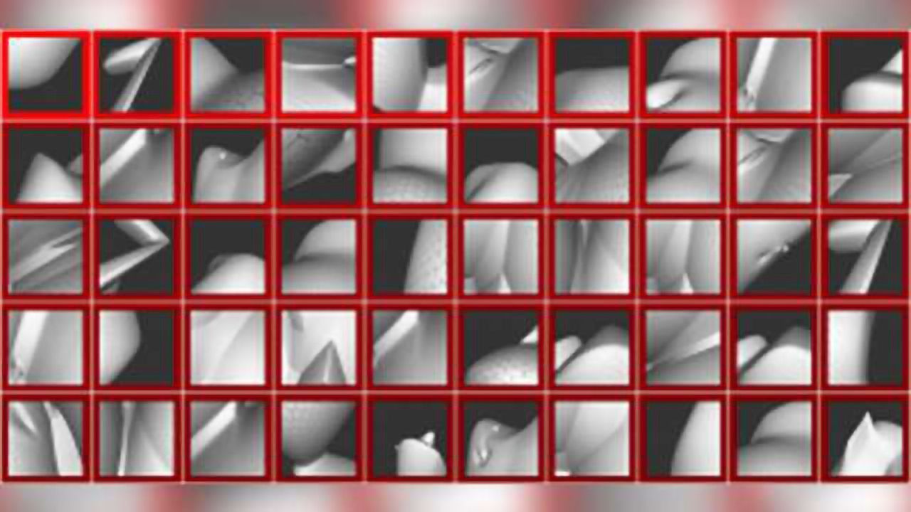 Scientists find brain cells that know which end is up