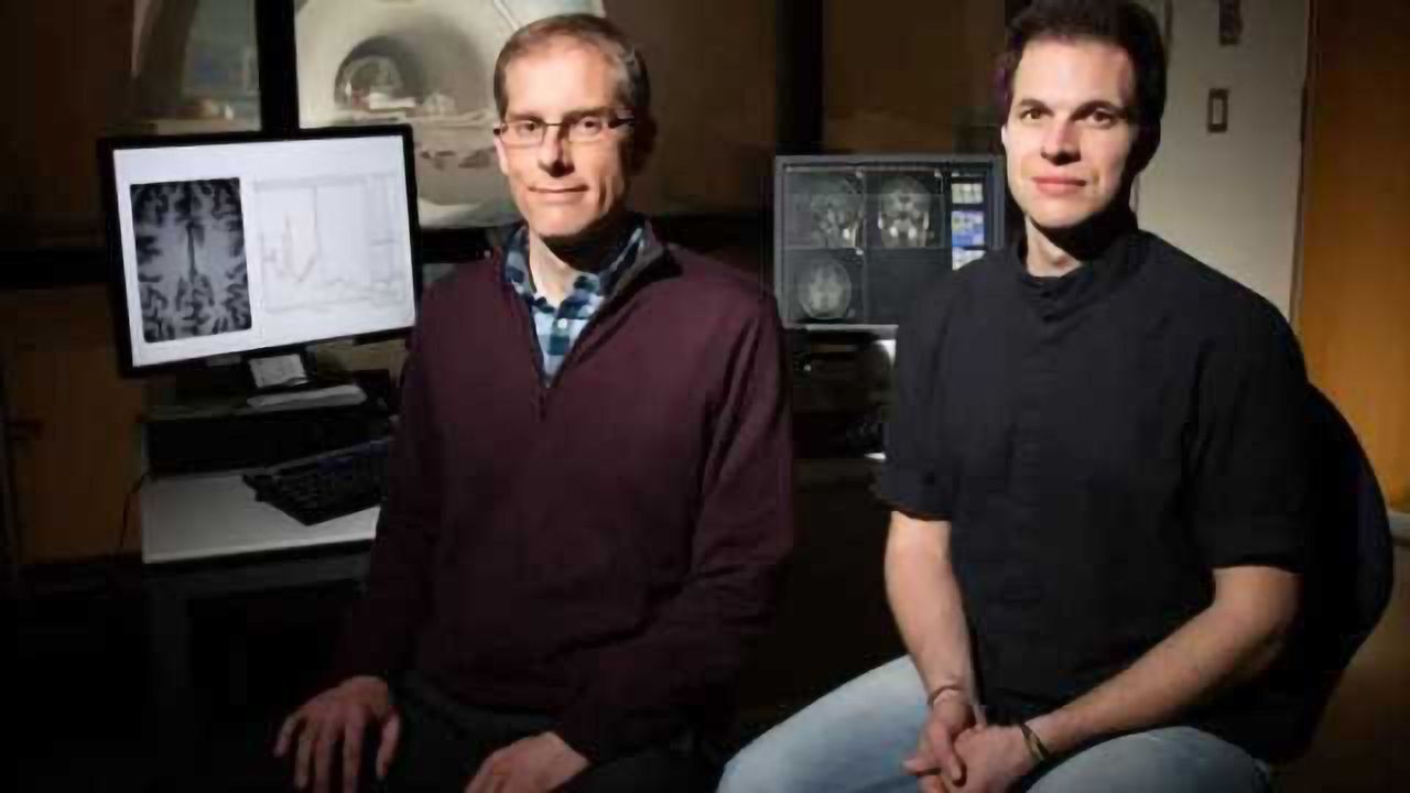 Study: Brain metabolism predicts fluid intelligence in young adults