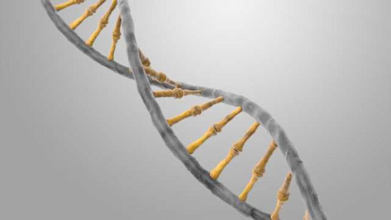 Biological mechanism passes on long-term epigenetic "memories"
