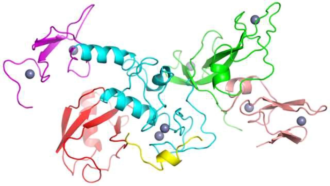 Tackling the mysteries of protein folding