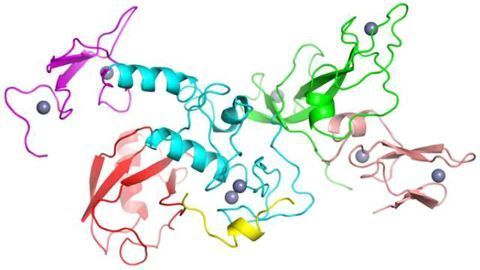Tackling the mysteries of protein folding