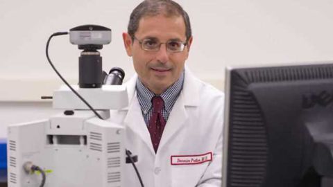Altered circadian rhythm worsens Parkinson's disease, researchers show