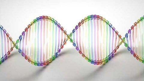 Exome sequencing improves doctors’ ability to diagnose hard-to-pin-down neurogenetic disorders