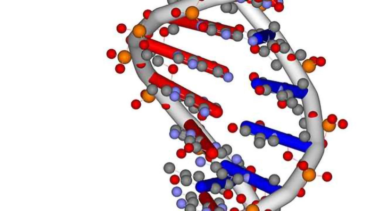 Detailed analysis of autism-associated genes finds involvement in key pathways, processes