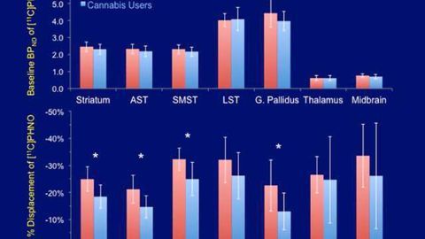 Heavy cannabis use associated with reduced dopamine release in brain