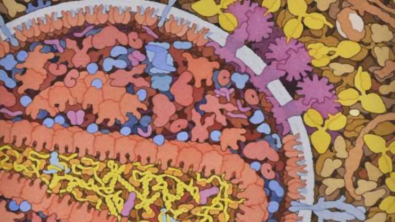 First diagnosed case of Alzheimer's disease in HIV-positive individual reported