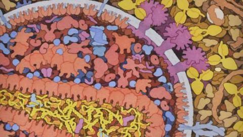 First diagnosed case of Alzheimer's disease in HIV-positive individual reported