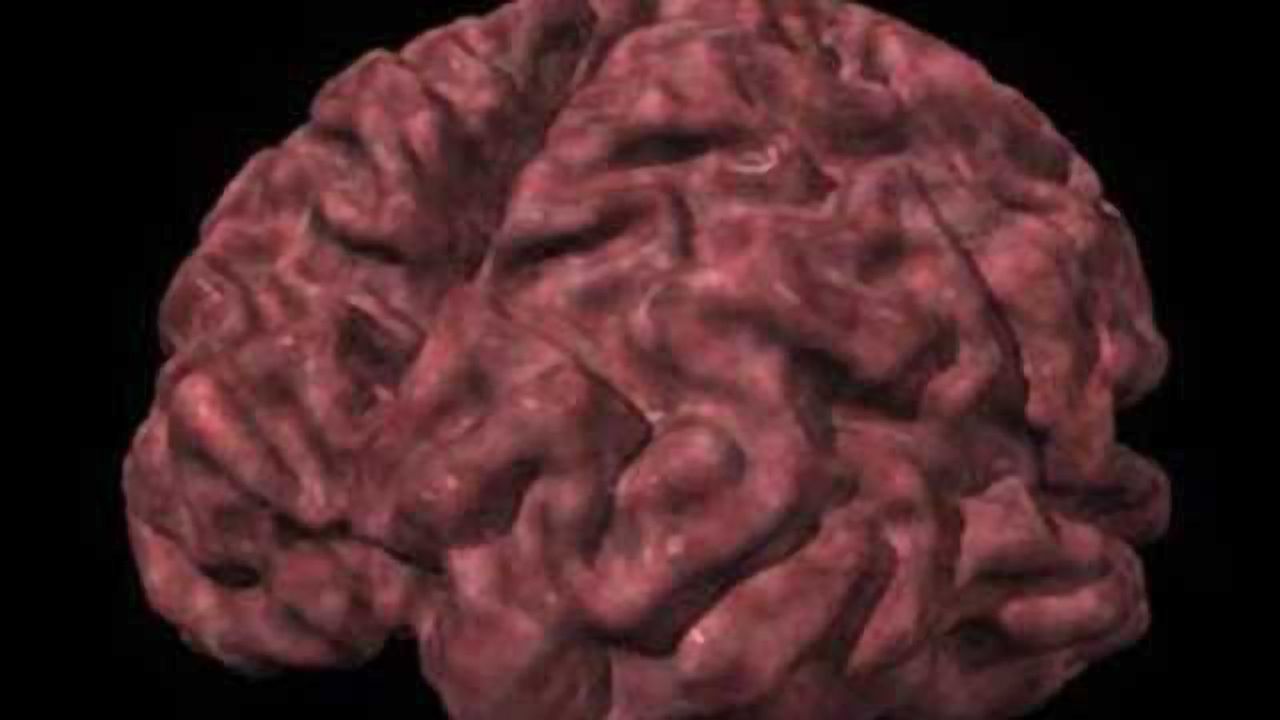 Investigating plasma levels as a biomarker for Alzheimer's disease
