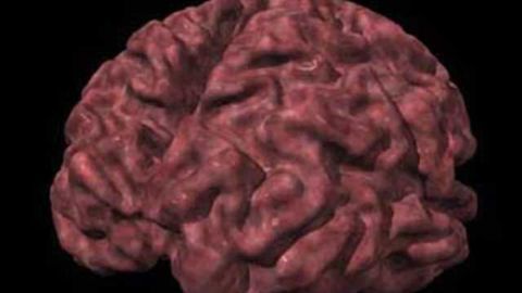 Investigating plasma levels as a biomarker for Alzheimer's disease