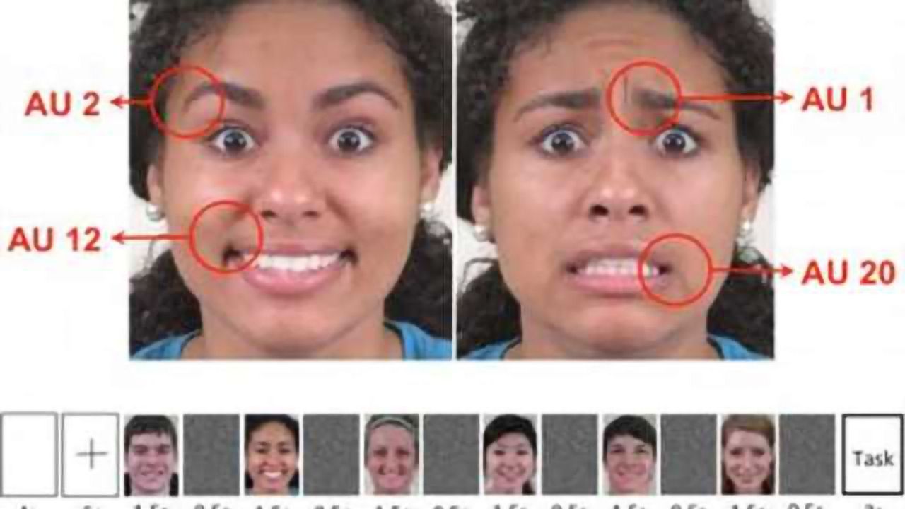 Researchers pinpoint part of the brain that recognizes facial expressions