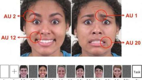 Researchers pinpoint part of the brain that recognizes facial expressions