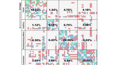 Quieting the brain: Cluster analysis of cat neural network models reveals promising anti-seizure strategies