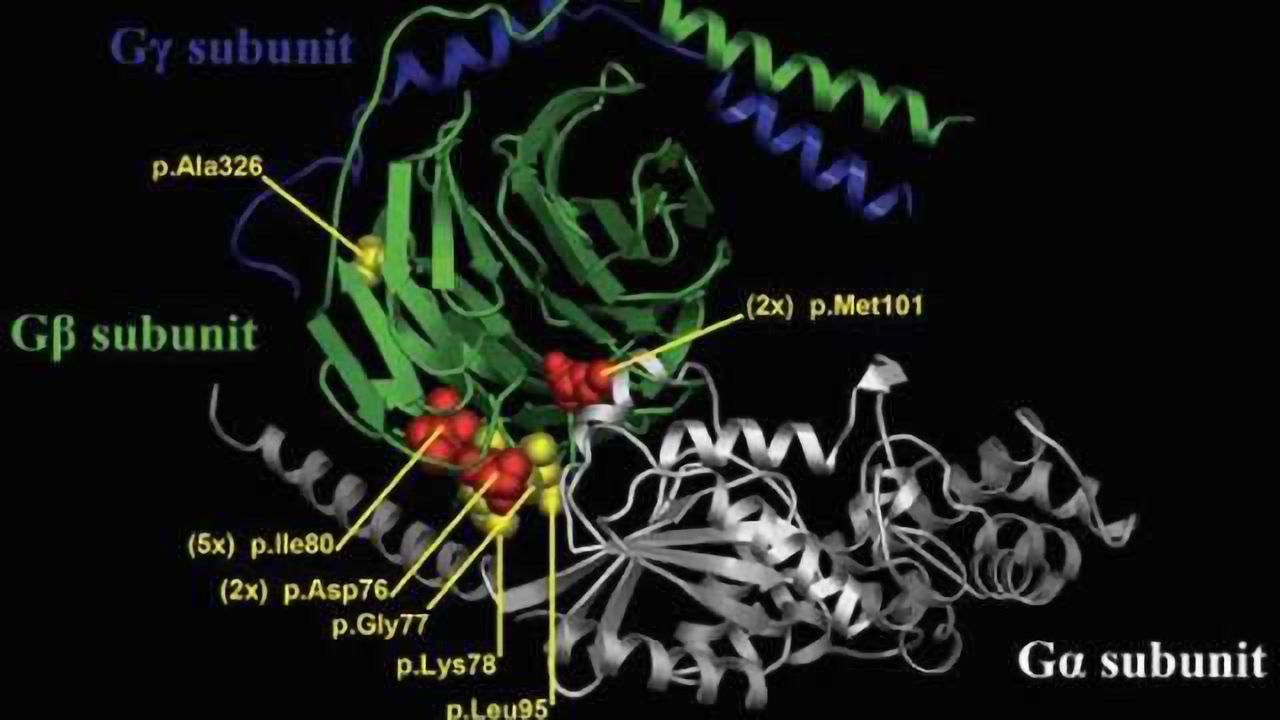 New neurodevelopmental syndrome identified