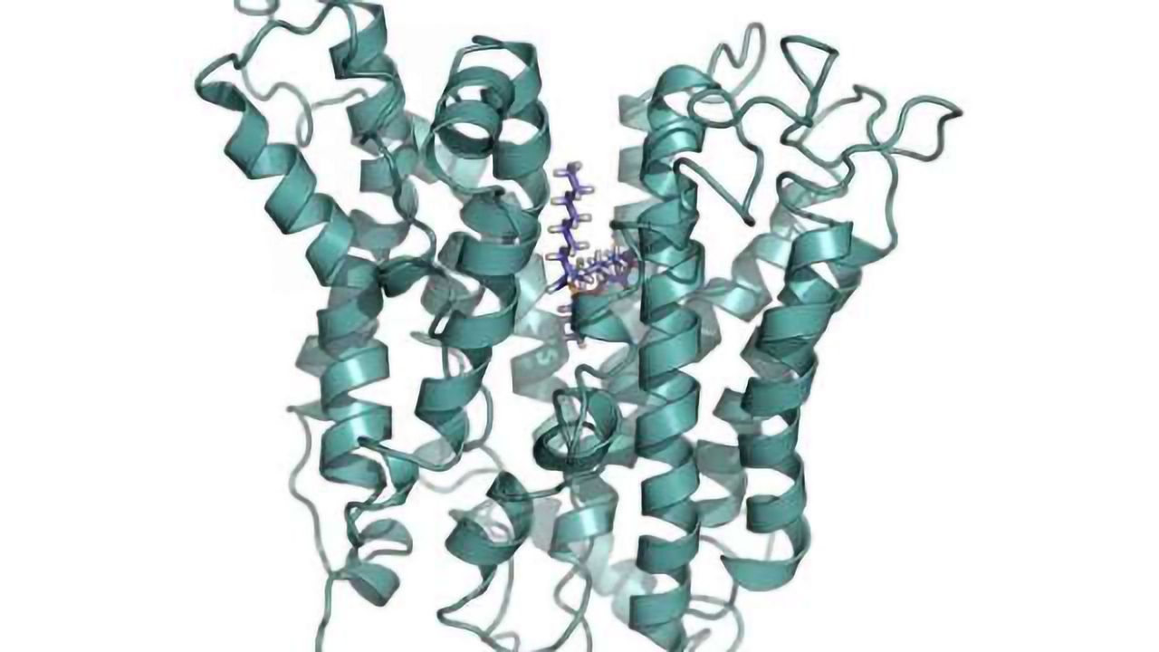 Gateway to the brain: Harnessing nature's transport system