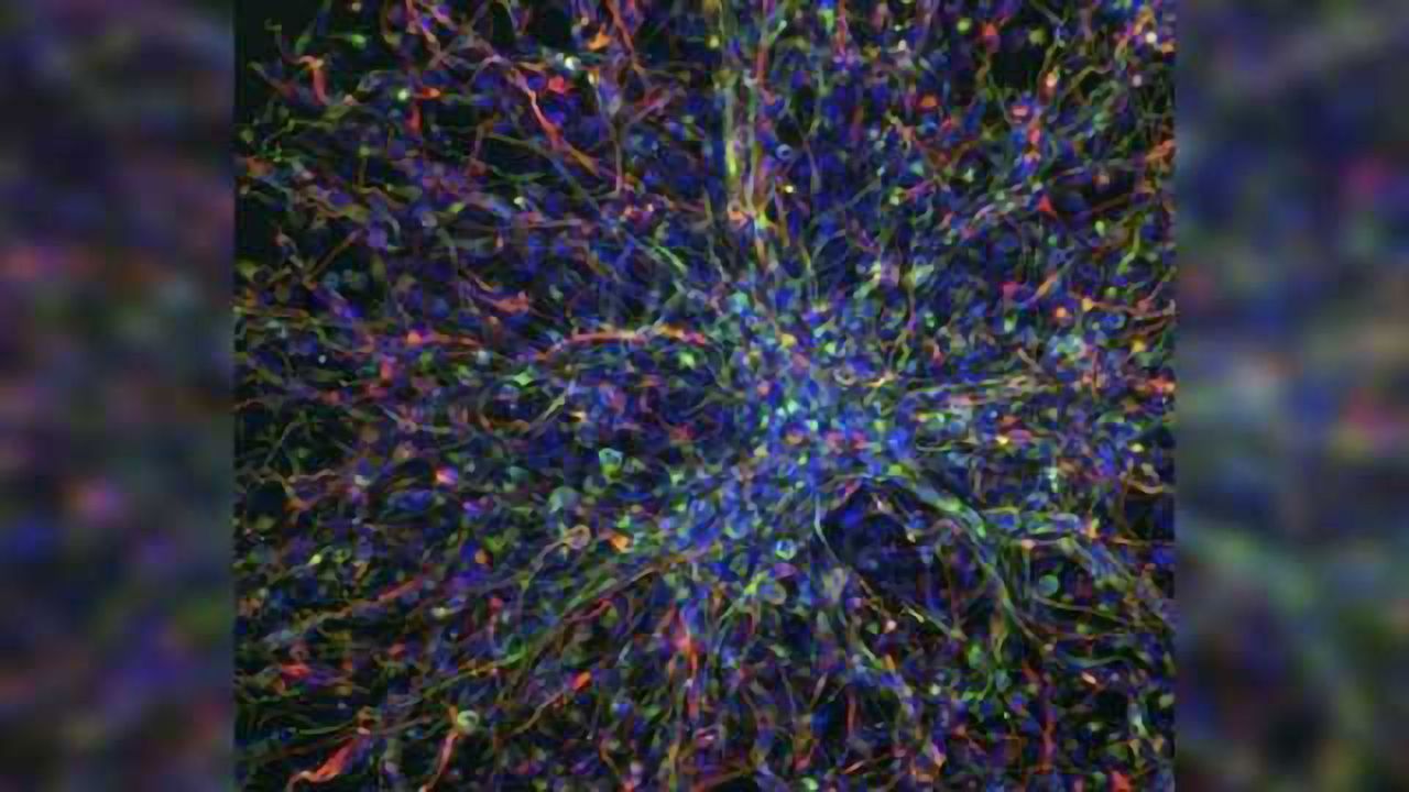 Critical immunotherapy target marks dysfunctional regulatory T cells in brain cancer