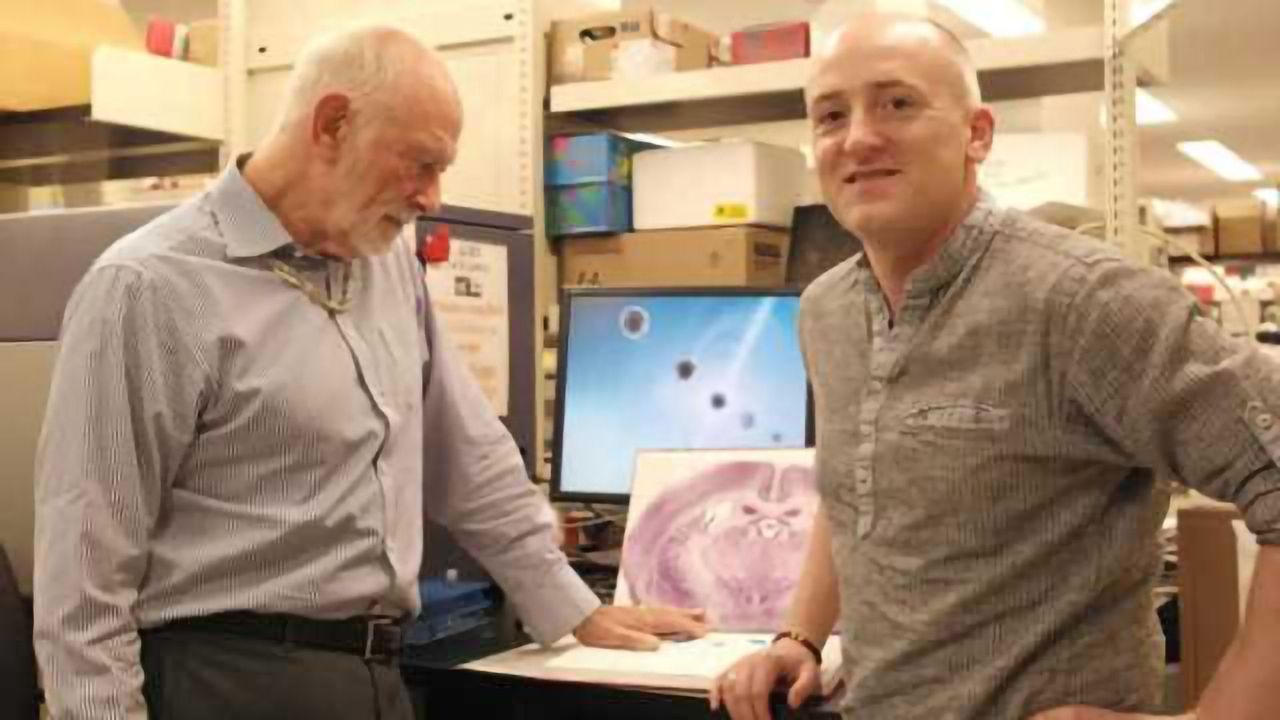 Gut feeling: Research examines link between stomach bacteria, PTSD