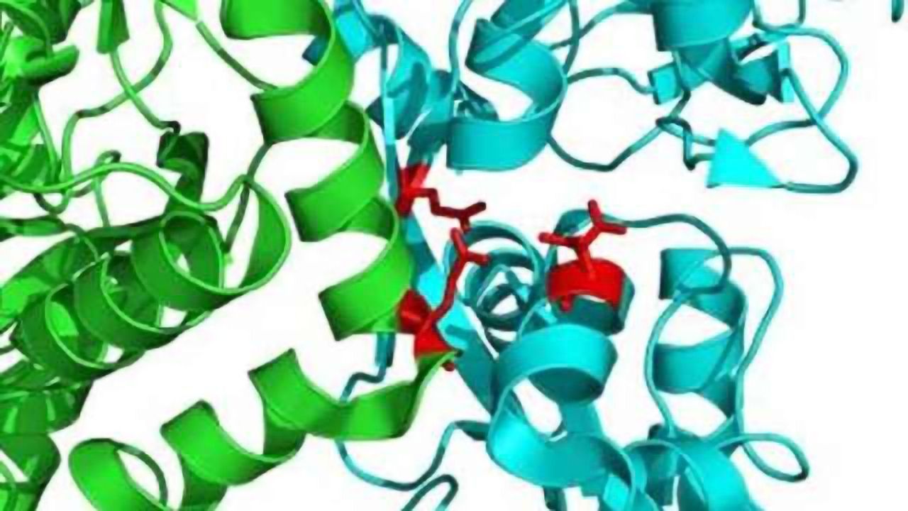 Finding sheds light on what may kill neurons after stroke