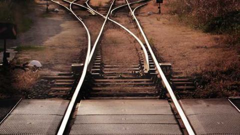 Our brain uses statistics to calculate confidence, make decisions