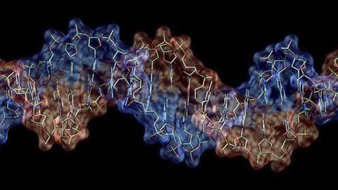 Epigenetic study of lactose intolerance may shed light on the origin of mental illness