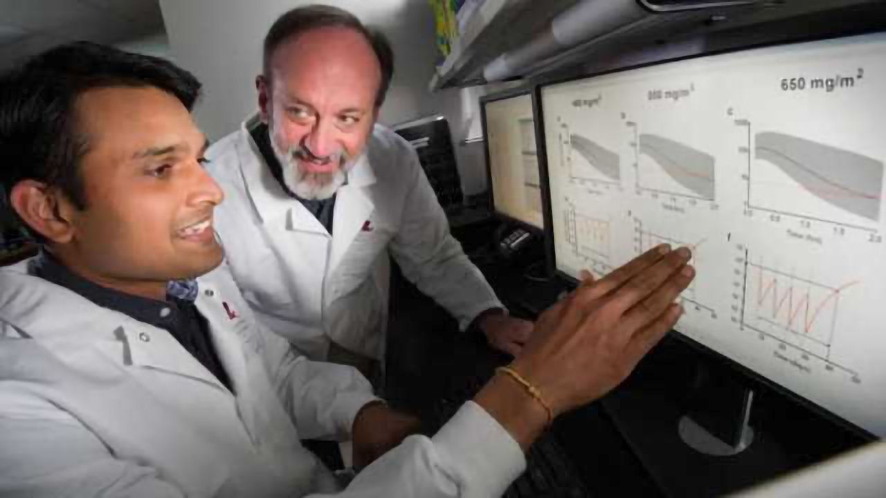 Modeling and simulation help optimize chemotherapy to combat brain tumor