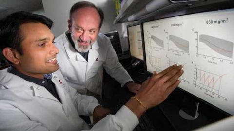 Modeling and simulation help optimize chemotherapy to combat brain tumor