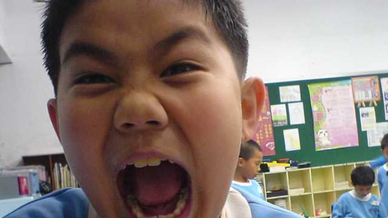 Omega-3 lowers childhood aggression in short term, research shows