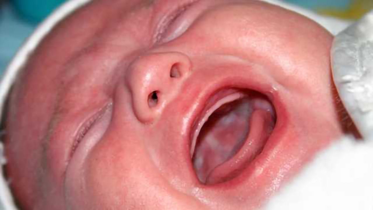 Executive powers in the nursery: Study explores effect of baby vocalizations on adult cognition