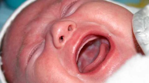 Executive powers in the nursery: Study explores effect of baby vocalizations on adult cognition