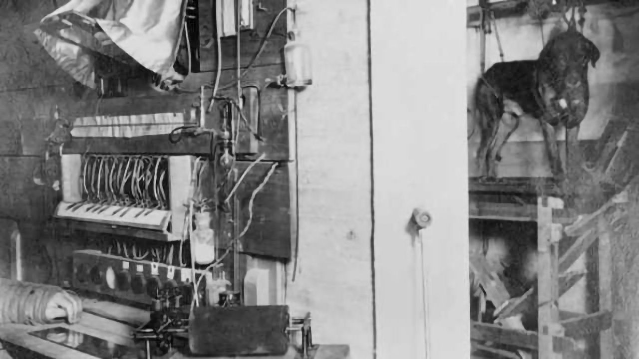 What can Pavlov's dogs tell us about drinking?