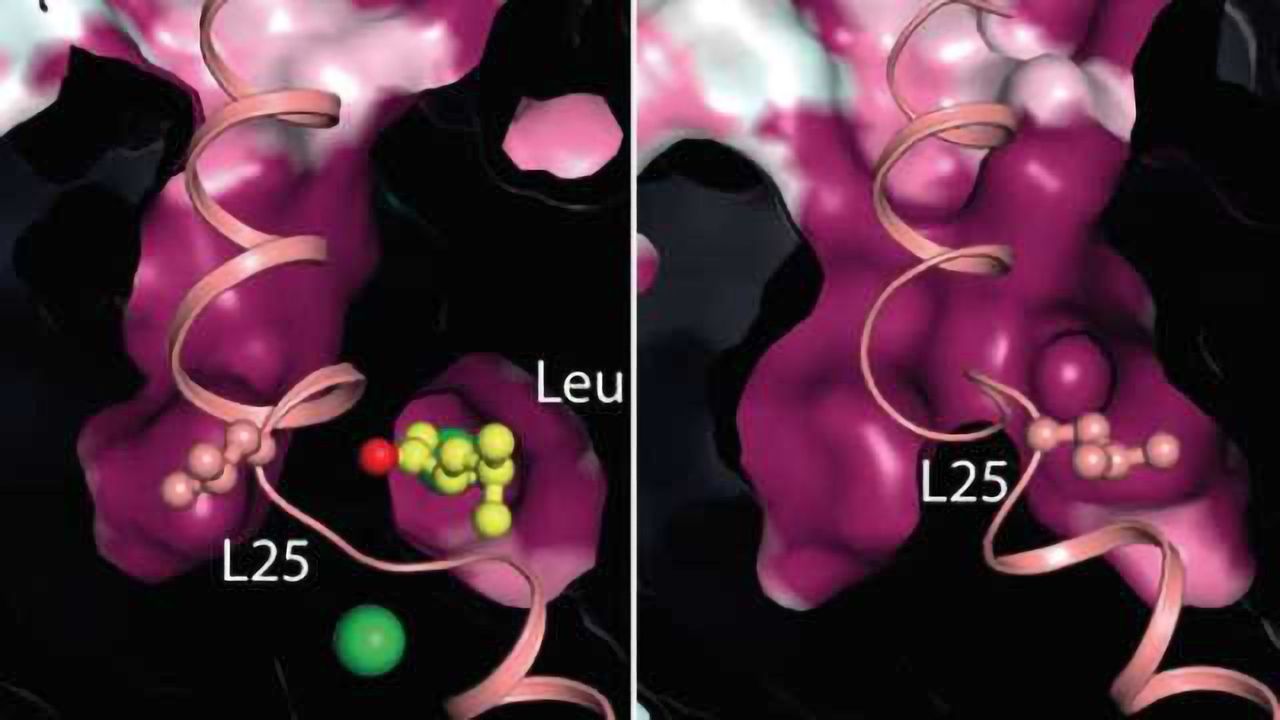 New discovery from the molecular machinery for depression and addiction