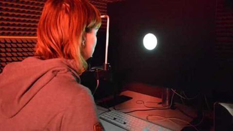How the brain merges the senses