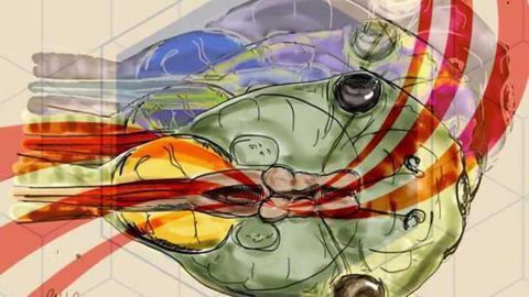 Study shows how judgment of sensory simultaneity may develop in the brain