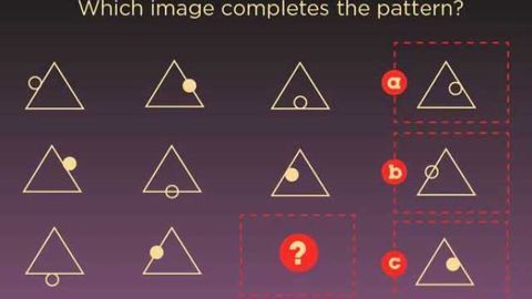 Study finds brain markers of numeric, verbal and spatial reasoning abilities