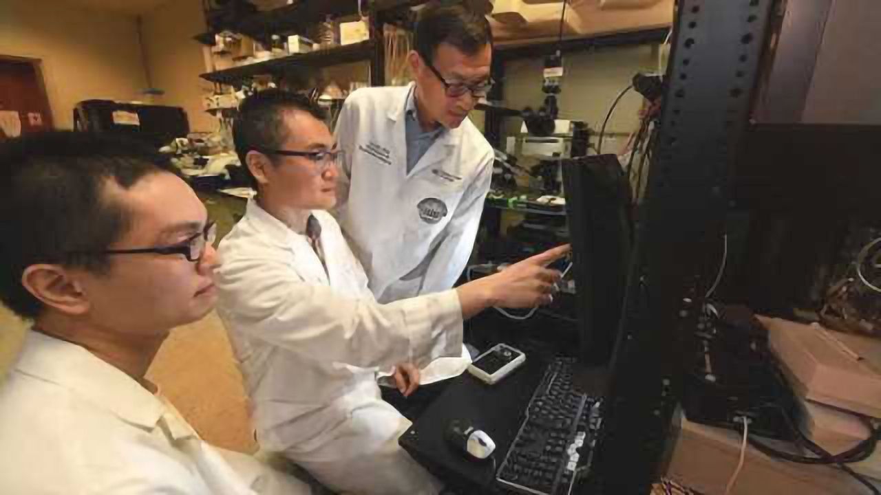 How astrocytes help us learn