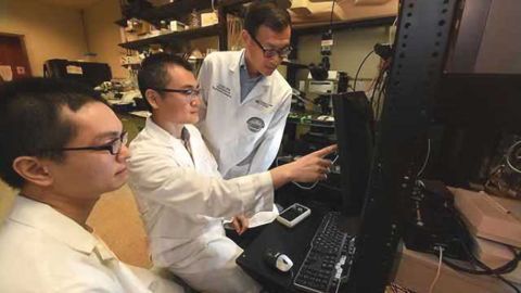 How astrocytes help us learn