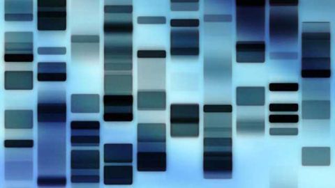 Gene hunters find rare inherited mutations linked to bipolar disorder