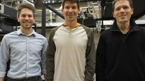 Researchers devise tool to improve imaging of neuronal activity in the brain