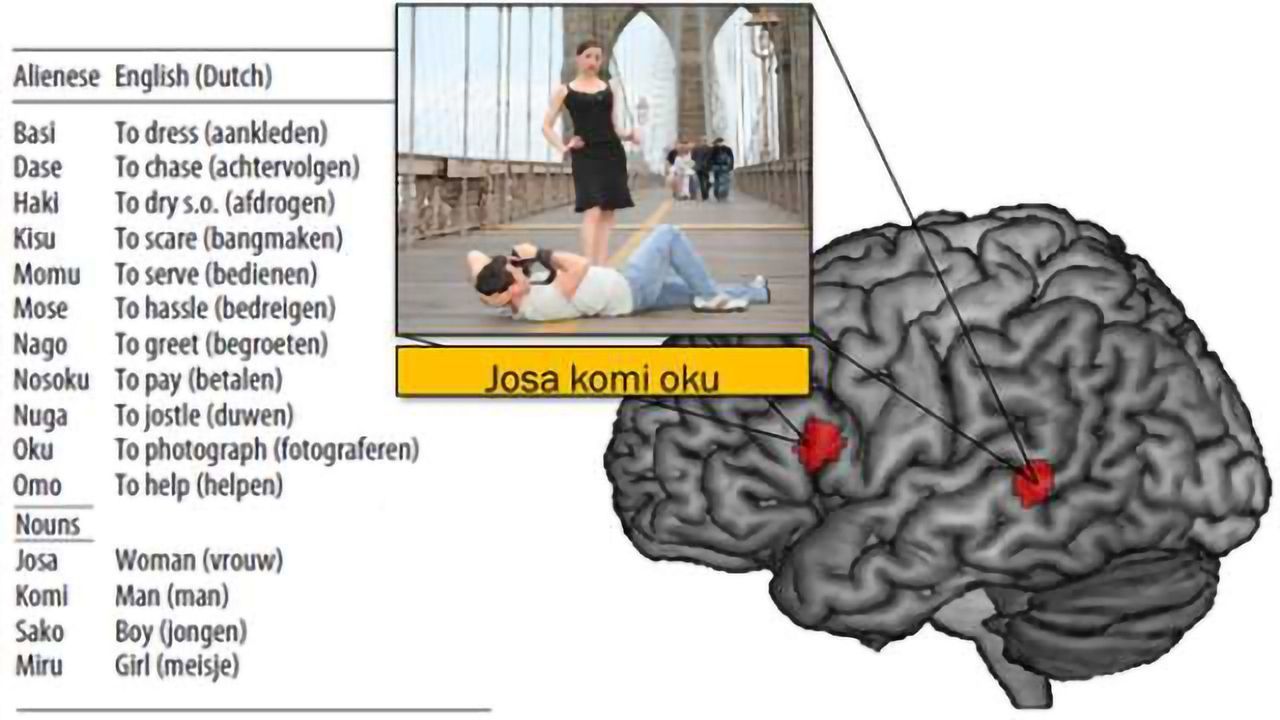 Fast fluency: Can we identify quick language learners?