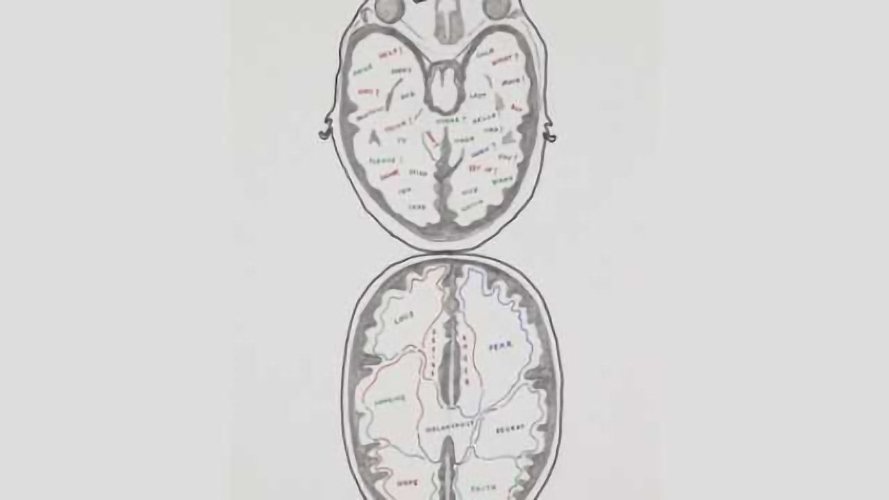 New insight into the most common genetic cause of ALS and FTD