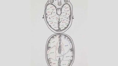 New insight into the most common genetic cause of ALS and FTD